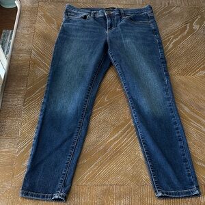Banana Republic Dark Blue Denim Jeans